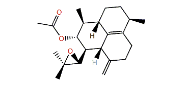 Sinulobatin C